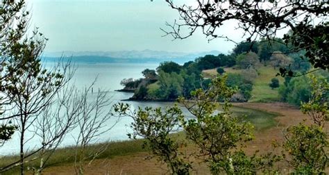 Click here to add it now. China Camp State Park (San Rafael, CA): Top Tips Before ...