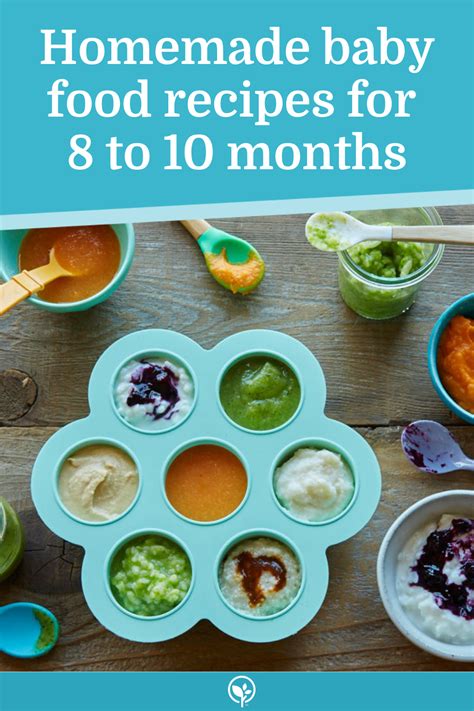 Homemade Baby Food Recipes For 8 To 10 Months Homemade Guacamole