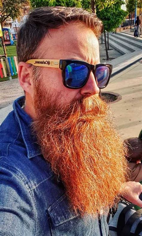 Top 35 Best Long Beard Styles For Men Mens Long Beard Styles Mens