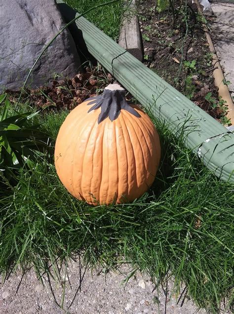 Artificial Pumpkin 10 Inches Tall Very Real Looking New Etsy