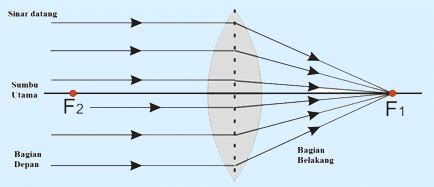 Lensa Cembung Pengertian Jenis Sifat Sinar Istimewa Pembentukan
