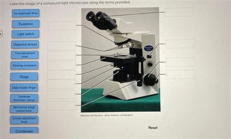 Identify The Parts Of Compound Light Microscope Quizlet Shelly Lighting