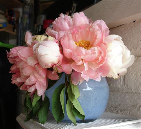 Pink Peonies In Blue Vase Pyrography By Grace Matthews Pixels