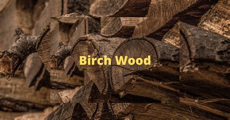 Is Birch Good Firewood The Best Species To Burn Update 2023