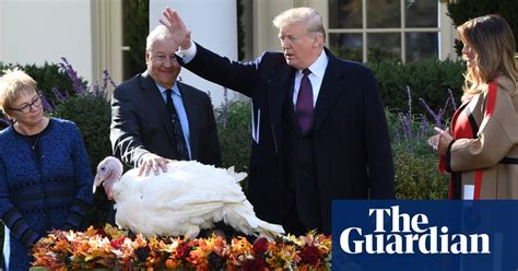 donald trump attempts political satire in thanksgiving turkey pardon video us news the