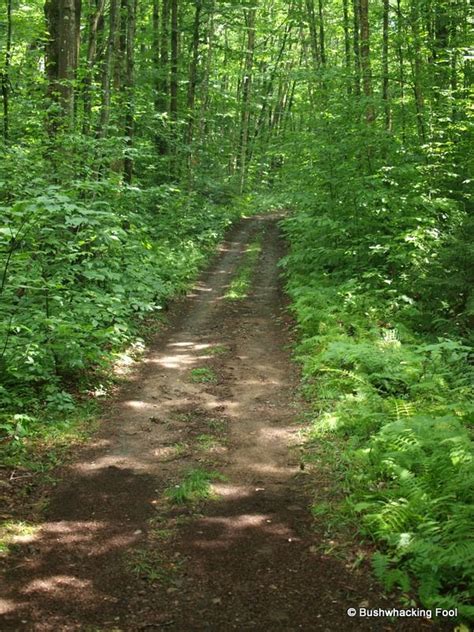 Atv Use Of Trails In Black River Wild Forest The Adirondack Almanack