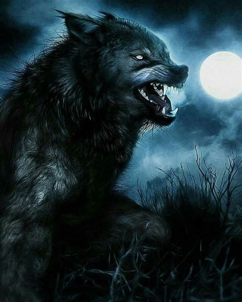 Anime Wolf Black Werewolves Anime Fantasy Wolf Wolf Pictures Wolf