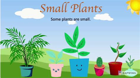 Plants Around Us Types Of Plants Plants For Kids Different Type