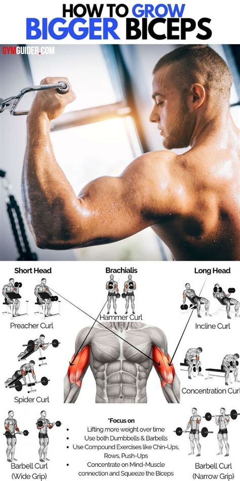 Arm Building Workout