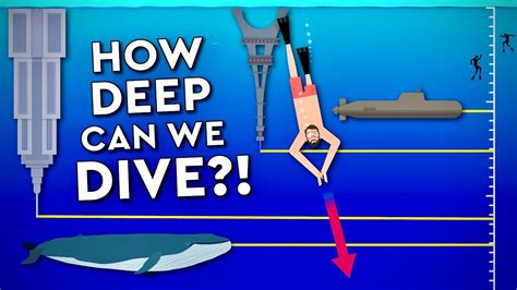 What Is The Deepest A Human Can Dive Debunked Youtube