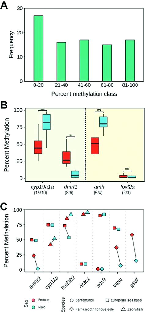 Dna Methylation Levels Of Some Key Genes See Table 1 Involved In Download Scientific