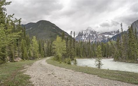 Gravel Road Beside The Kicking Horse River Stock Photo Image Of River