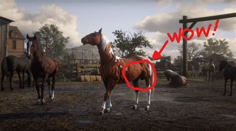 Red Dead Redemption 2 Goes Balls In On Realistic Horse