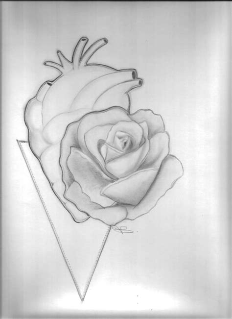 Hearts And Roses Drawings In Pencil