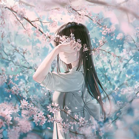 Tapety Kwiat Wiśni Kwiaty Długie Włosy Oryginalne Znaki Anime
