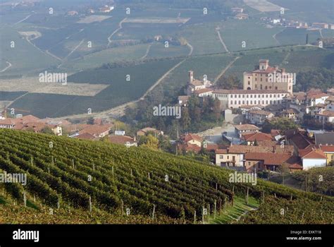 Italy Piedmont Langhe Hills Vineyards Panorama With Barolo Village
