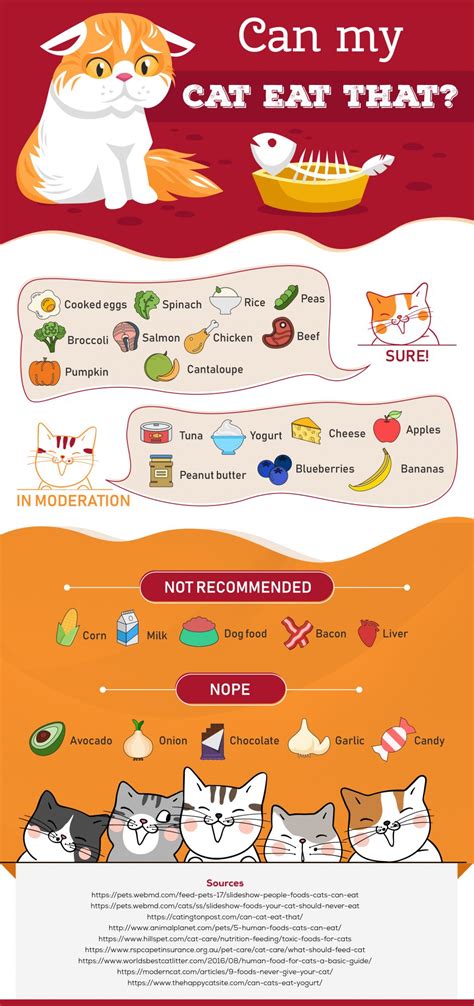 27 Human Foods Your Cat Can And Cant Eat Best Infographics