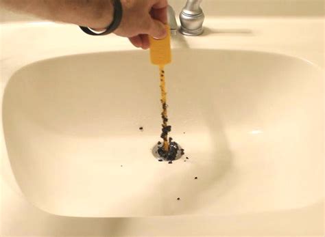 Plus we have been family owned and operated in nc since our. Are Your Drains Drawing Bugs? | May Exterminating