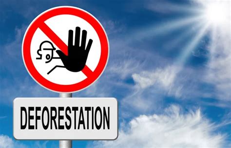 Stop Deforestation Sign Stock Photo By ©kikkerdirk 82711446