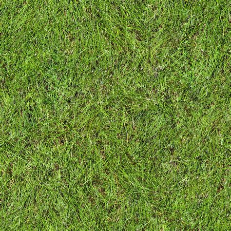 Texture Other Grass Texture Map