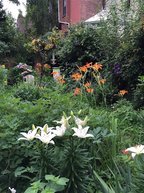 Gardening In The Boroughs Of Nyc