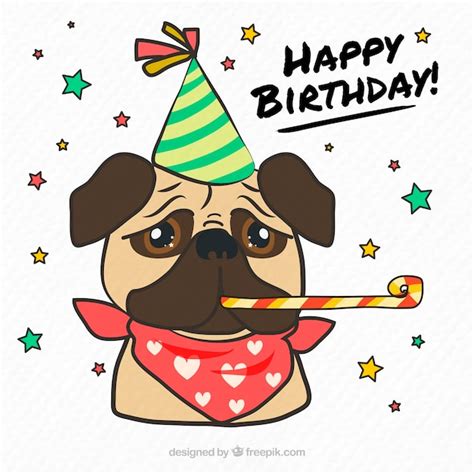 Free Vector Classic Pug With Birthday Accesories