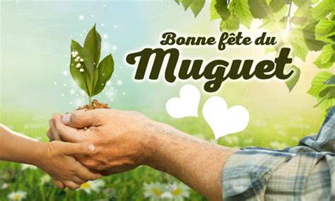 Convallaria majalis • muguet commun, muguet. Cartes 1er mai (muguet) : envoyez une carte 1er mai (muguet) gratuite