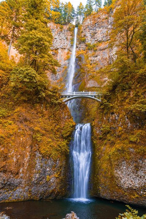 Multnomah Falls In Fall Portland Oregon Multnomah Falls Oregon