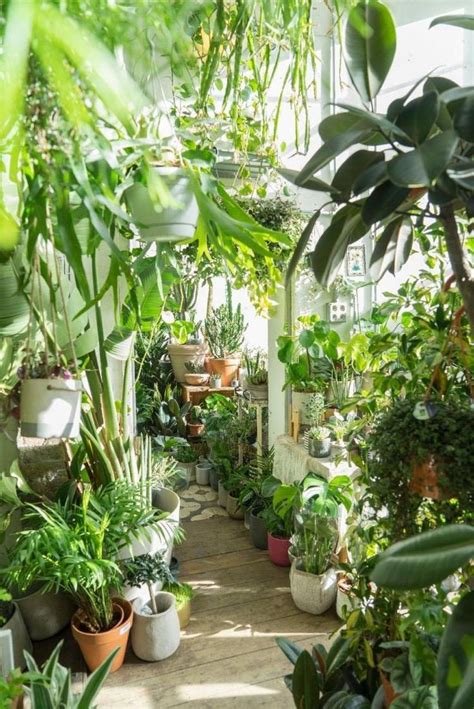 65 Awesome Home Indoor Jungle Design Ideas Plant Decor Indoor House