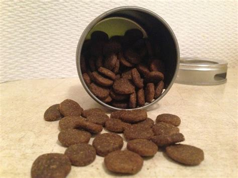 And they taste great too. Diy Low Calorie Dog Treats : Soft pumpkin dog treats ...