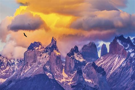 Epic Patagonia Fjords Peaks And Forests Sunstone Tours And Cruises