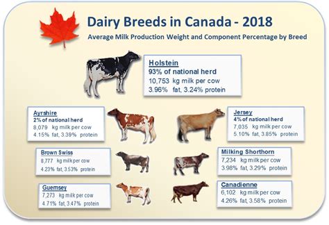 Holstein Canada About Us The Canadian Dairy Industry