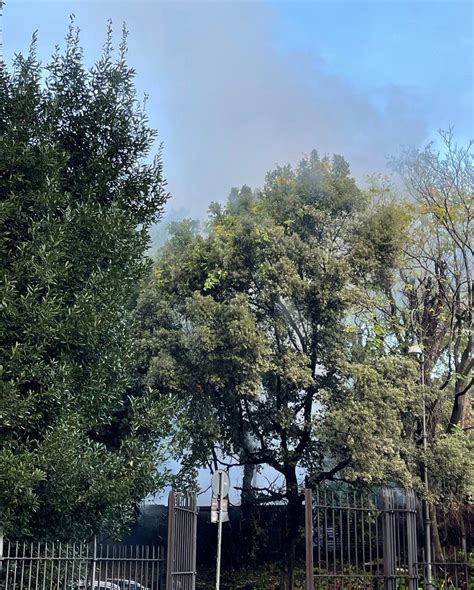 Incendio Al Sanctuary Eco Retreat Prende Fuoco Un Capannone La