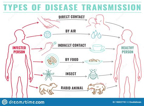 Disease Transmission Types-12 Stock Vector - Illustration of oral