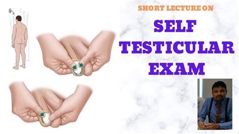 Self Testicular Examination How To Do Self Testiculat Exam Youtube