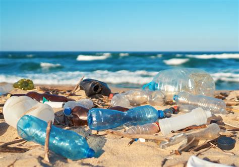 Plastic Pollution In The Ocean Could Triple By 2040 •