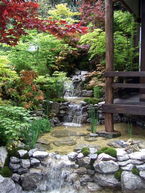 Suitable Japanese Maple Tree Garden Ideas That Look Beautiful Water