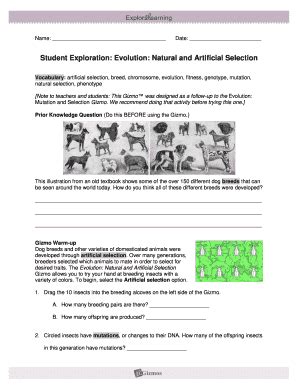 Artificial selection, breed, chromosome, evolution, fitness, genotype, microinverter optimizer evaluation stage 2 testing. Student Exploration Evolution Natural And Artificial ...