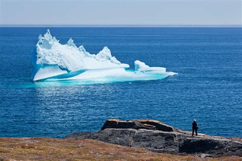 Best Place To See Icebergs In Newfoundland Suitcase And Heels