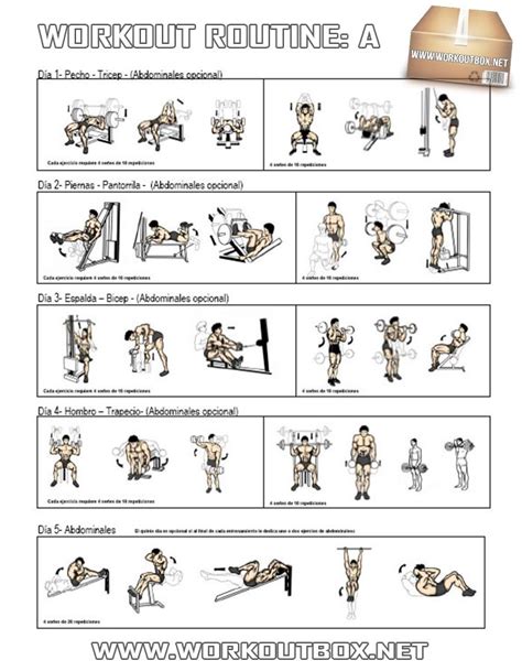 Workout Routine A Healthy Fitness Full Body Training