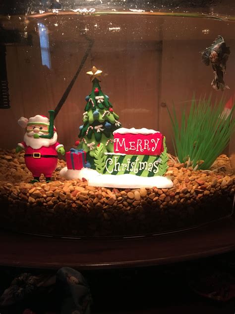 I Found Christmas Decorations For Greysons Fish Tank At Petsmart