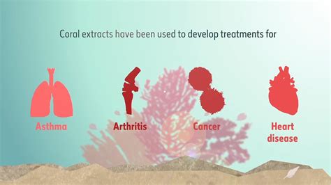 Why is the separation of mixtures into pure or relatively puresubstances so important when performing a chemical analysis?also, what are relatively pure but can you answer this. Why are coral reefs so important? | Natural History Museum