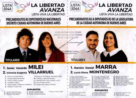 Elecciones 2021 Javier Milei Obtuvo El 13 66 De Los Votos En Las PASO
