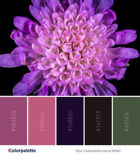 31 Purple Color Combinations Curated Collection Of Color Palettes