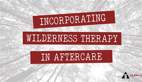 Incorporating Wilderness Therapy In Aftercare Alpha 180