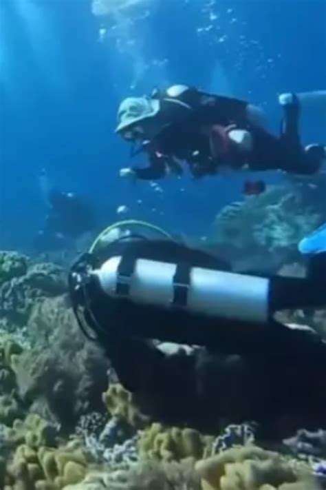 Watch Terrifying Video Shows Divers Trapped In Current During Underwater Earthquake Vo Truong