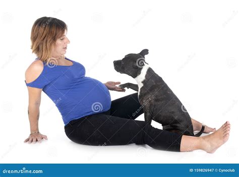 Pregnant Woman And Dog Stock Image Image Of White Maternity 159826947