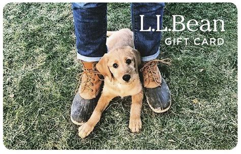 The visa gift card can be used everywhere visa debit cards are accepted in the us. Send an L.L.Bean E-Gift Card (With images) | Bean gift, Gift card, Egift card