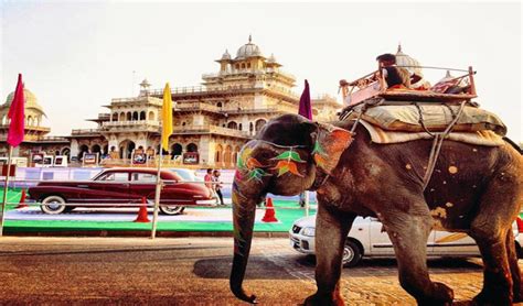 incredible north india tour 14 days optima travels