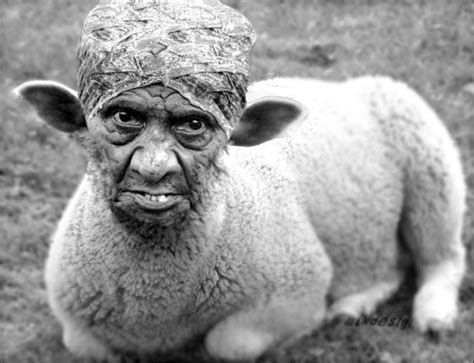 Old Goat Creepy Pictures Funny Faces Pictures Spongebob Funny Pictures